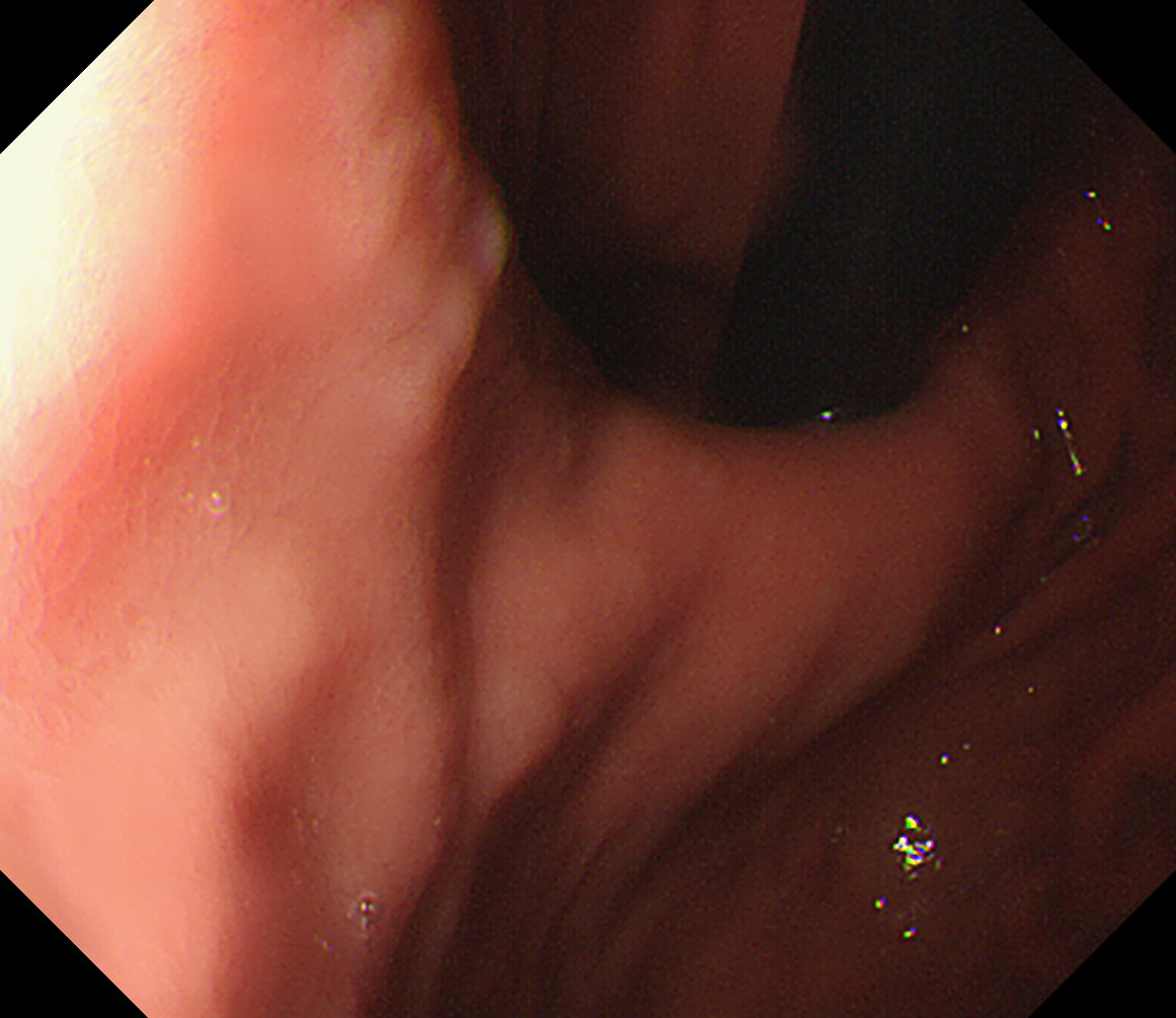 ���啔���